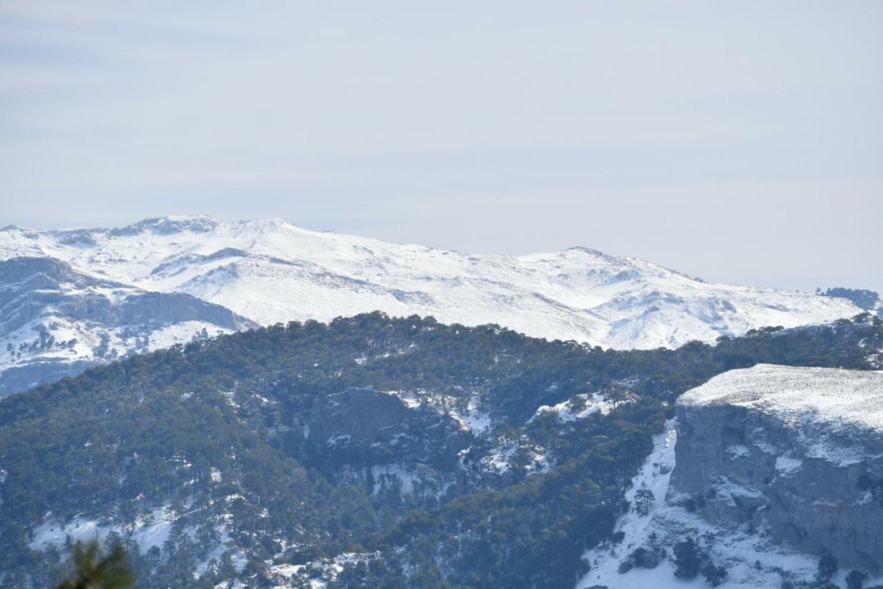 Noelia Cazorla Sierra Διαμέρισμα Arroyo Frio Εξωτερικό φωτογραφία